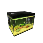 BOFIT | Modern desktop aquarium PH200 - Image 2