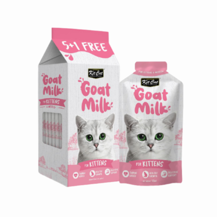 Kit Cat | Azrf milk goat for kittens