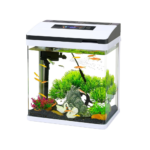 BOFIT | Desktop aquarium AF245