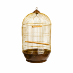 Full front view of the elegant Dayang 330 Gold Cage dome bird cage featuring its gold wire frame and dark brown base.