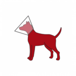 TRIXIE | Protective collar with lock and connector ring - Image 2