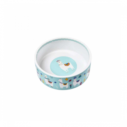 Dish food from Seramyk for pets YBPET377