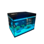 BOFIT | Modern desktop aquarium PH100 - Image 5