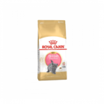 Royal Canin | Cat food albrytanya small