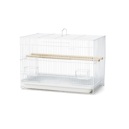 Full front view of the Dayang A600 White Bird Cage featuring a crisp white wire finish with four small parakeets perched inside.