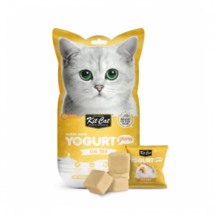 Kit Cat | Mkabat zbady mgda wmjffa bflavor sfar eggs for cats