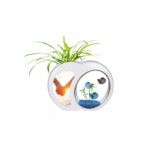 حوض سمك على شكل تفاحة YB02