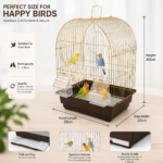 طيور صغيرة داخل قفص دايانغ A100G المقوس المجهز بالكامل / Small songbirds inside the fully equipped Dayang A100G arched habitat