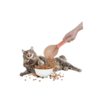 Mhand - feedingfa alalf for pets ETH0193 - Image 2