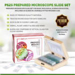 M-Scoop | 25 piece from alslices almjhrya alwithda msbqa (aynat from alplants wfungus walhshrat walhywanat) - Image 3