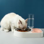 Dispenser lfood and shrab cats YC002 - Image 3
