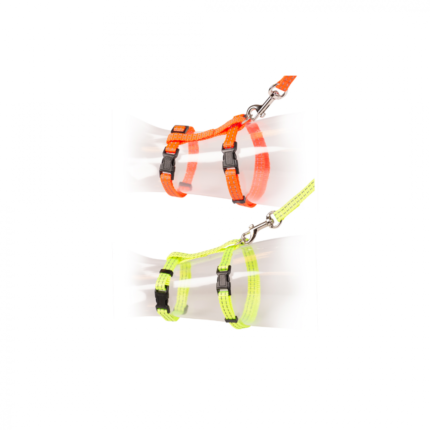 Duvo+ | Walking set Large for cats aaks mqas