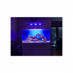 ⁦ماكسبيكت | نظام إضاءة ليد R420R 160 واط / 16000 كلفن⁩ - الصورة ⁦2⁩