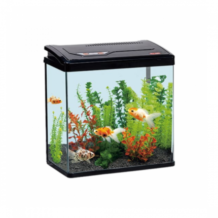 BOFIT | Desktop aquarium PY380