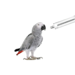 Set abra altghdhya for birds bras fromhny - Image 5