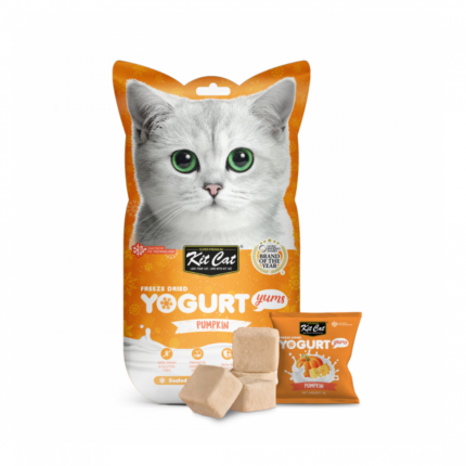 Kit Cat | Mkabat zbady mgda wmjffa bflavor pumpkin for cats