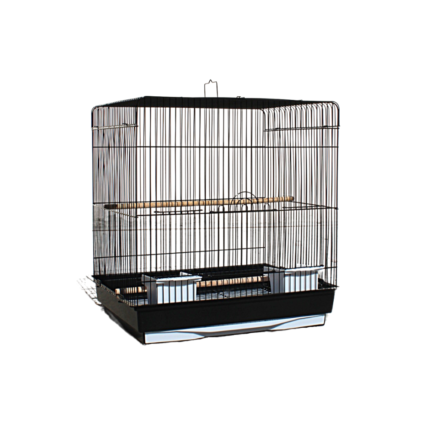 Dayang | Bird cage 615R