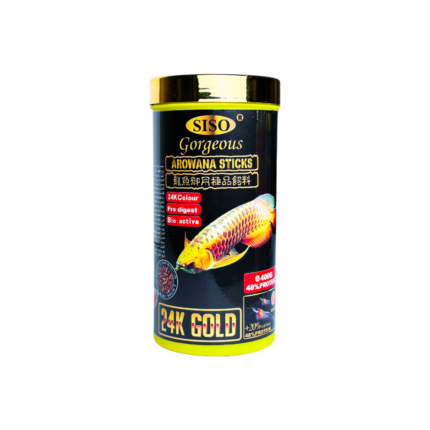 SOBO | Food aawad for fish alarwana