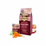 Carnilove | Kitten food salmon and turkey