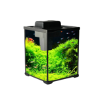 Desktop aquarium (tsmym Classicy)