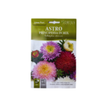 بذور زهرة أستر (Astro)