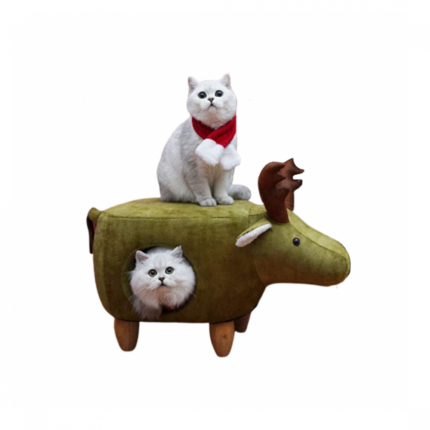 Chair wbyt for cats ala shape ghzal