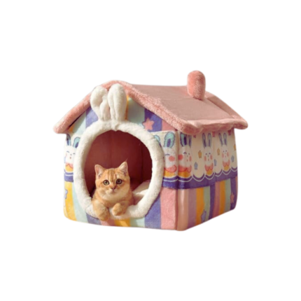 House for dogs and cats