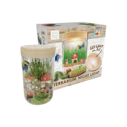 Happy Nest | Illuminated terrarium
