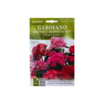 بذور زهرة ويليام سويت (Garofano)
