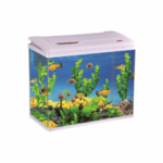 BOFIT | Desktop aquarium PY580