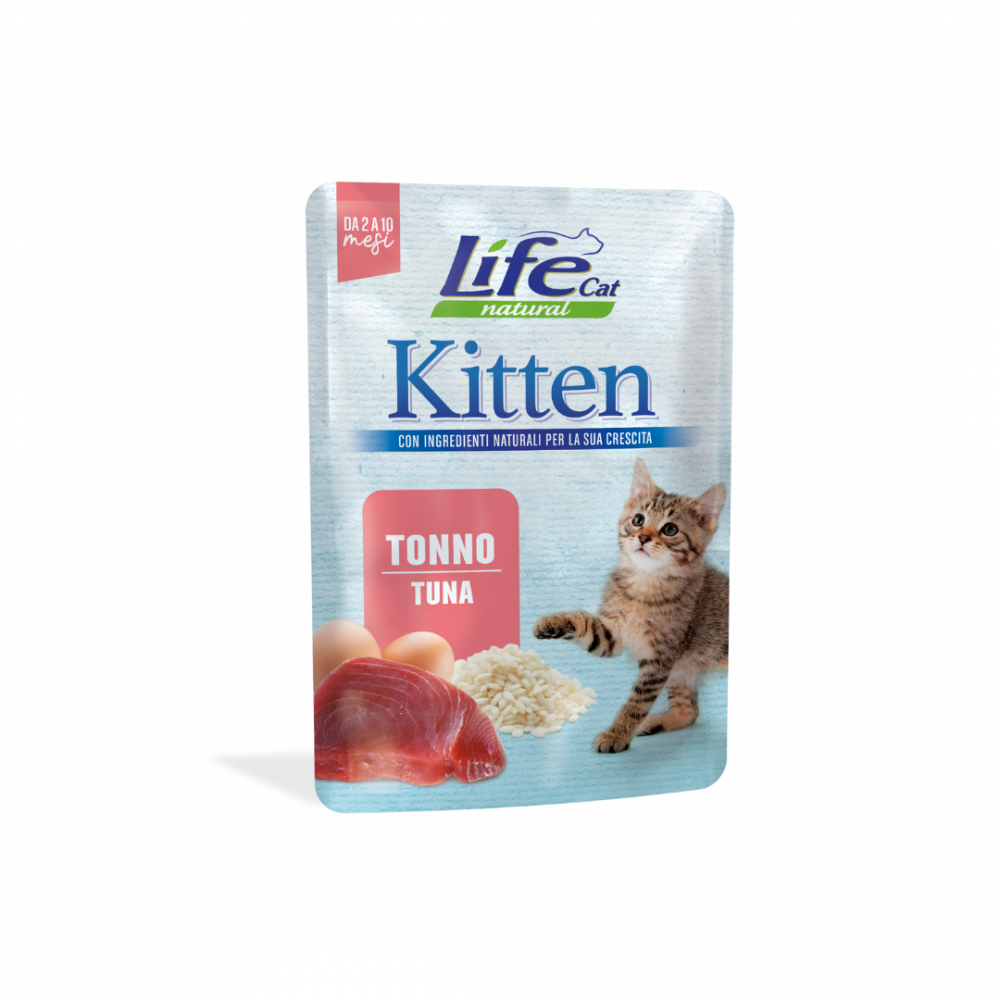 xepMvrtrA6gPR9LJiKO2g669P2jfkVKRZKcqcJZM LifeCat | Kitten food with tuna weggs - Image 1