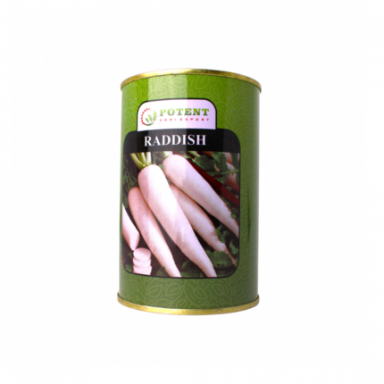 بذور الفجل